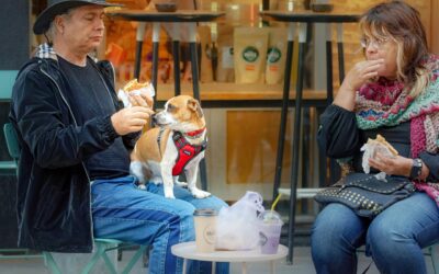 Hire a Private Investigator to Catch a Cheating Spouse